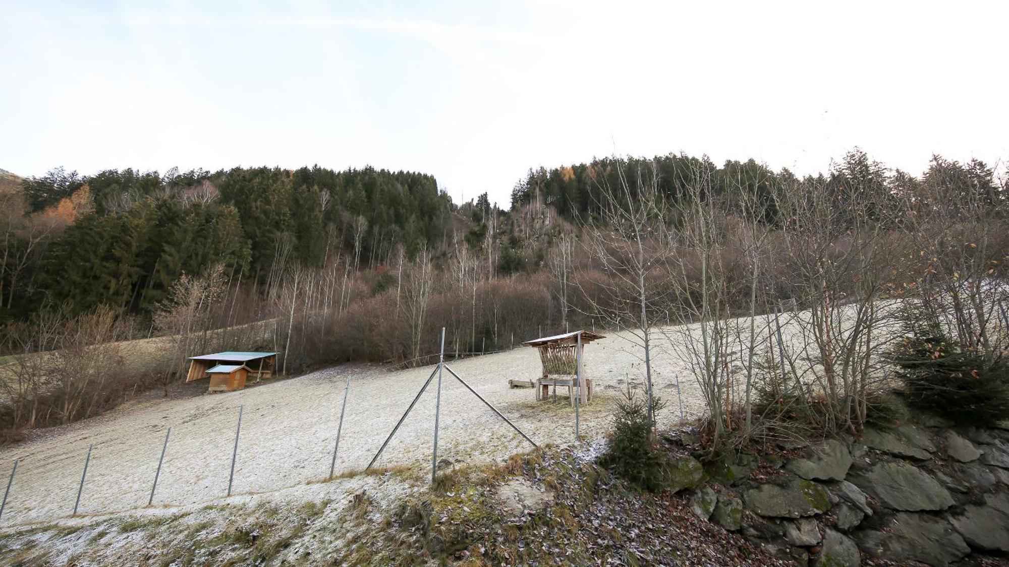 Hochfeldhof Apartment Zell am Ziller Cameră foto